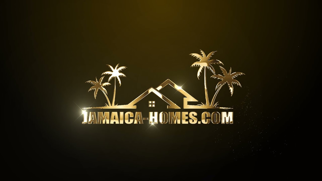 The Past, Present, and Future of Project Management in Jamaica